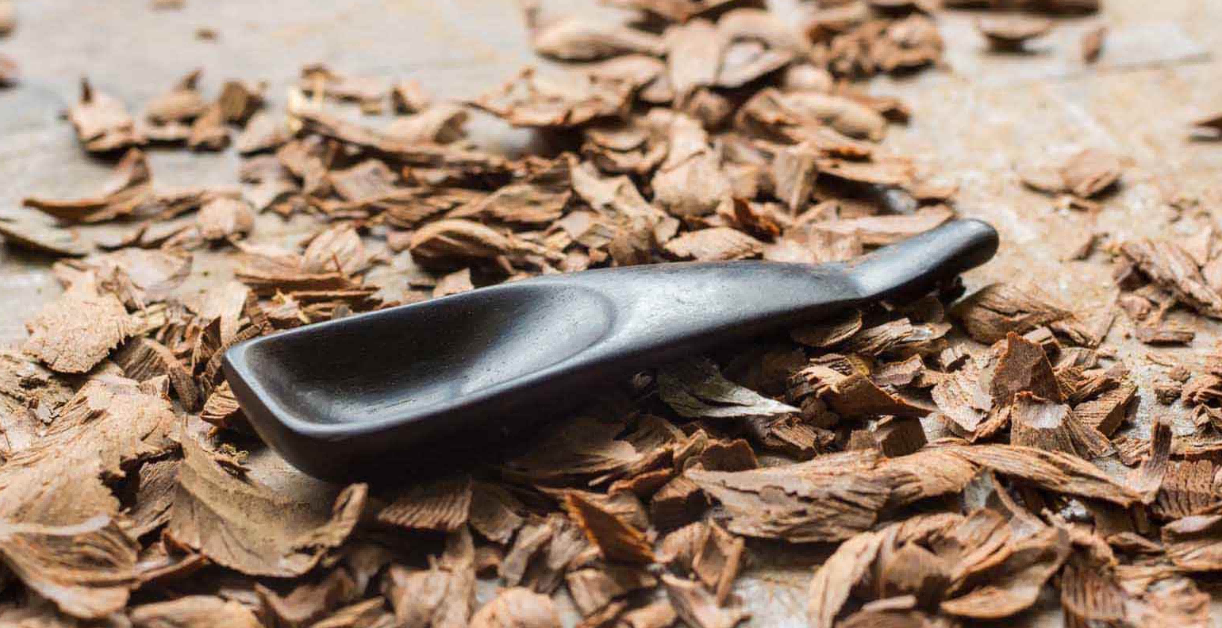 賽數(shù)掃描設(shè)備成為全國中醫(yī)藥普查工作重要助手