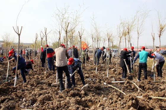 今天是植樹節(jié)，你植樹了嗎？